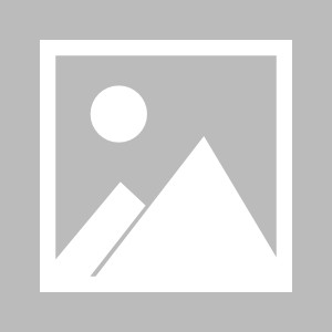 开云体育网页版登录入口-美职联俱乐部世界杯球员分布：LAFC四人最多，迈阿密三人并列第二